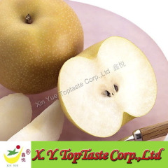 Housi pear,hosui pear, fresh water pear,nashi pear