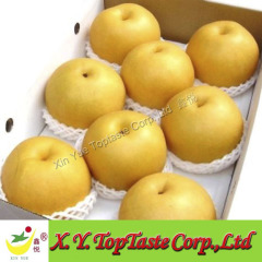 Housi pear,hosui pear, fresh water pear,nashi pear