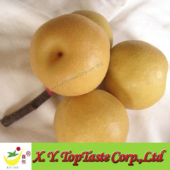 2011 fresh pear for export,fresh fruit and vegetable