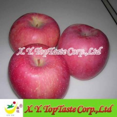 Fuji apple of 2011