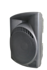 professional speaker system