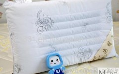 Cassia seed children's educational pillow