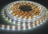 5050 SMD LED Strip