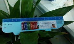 irregular shaped PVC ruler