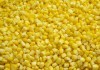 Frozen Sweet Corn Kernel,IQF Sweet Corn Kernel,IQF