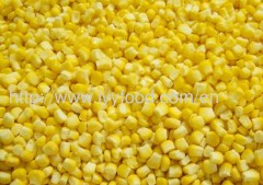 Frozen Sweet Corn Kernel;QF Sweet Corn Kernel;IQF