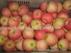 Fresh Fuji Red Apples