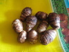 Fresh Brown Taro