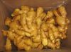 Shandong Fresh Ginger