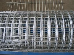 galvanized welded wire mesh