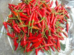 ***red chilli hot and red origin Vietnam