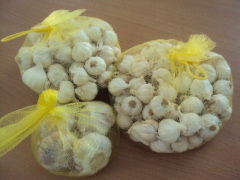 ***HOT white garlic origin Vietnam