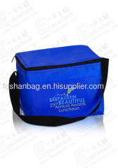 cooler bag