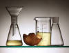 refined coconut oil
