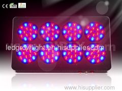 led plant grow light