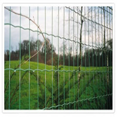 green holland wire meshes