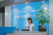 A&LENKENG Technology Ltd