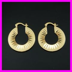 18K Vacuum Plated Earring 1210080 IPG