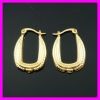 18K Vacuum Plated Earring 1210094 IPG