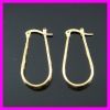 18K Vacuum Plated Earring 1210119 IPG