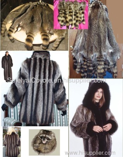 fur coats raccoon