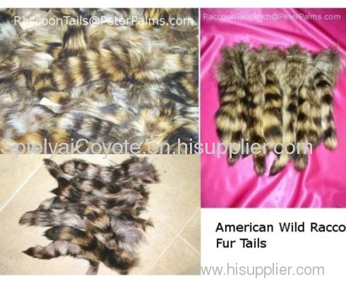 raccoon fur tails