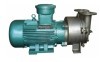 2BV series water ring vacuum pump and compressor