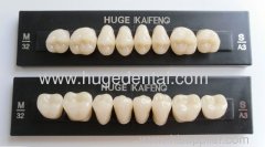 Acrylic teeth -- KAIFENG posterior