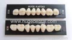 Acrylic teeth -- KAIFENG posterior