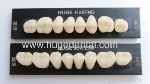 HUGE DENTAL acrylic teeth posterior