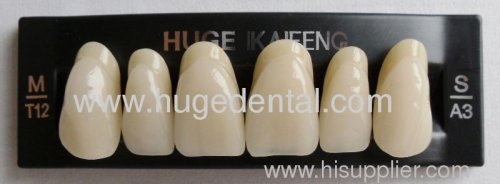 Acrylic teeth -- KAIFENG T12