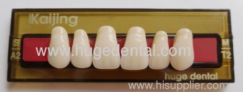 denture teeth - KAIFENG T2