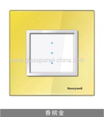 glass or marble switch plate (panel)