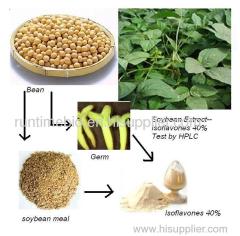 Soybean extract Soybean isoflavones 40% HPLC