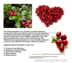 cranberry extract/proanthocyanidins