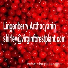 Lingonberry Anthocyanin(Shirley at virginforestplant dot com)