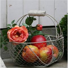 wire mesh fruit basket