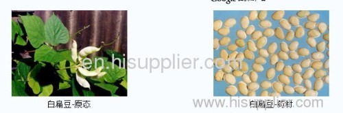 White Kidney Bean Extract