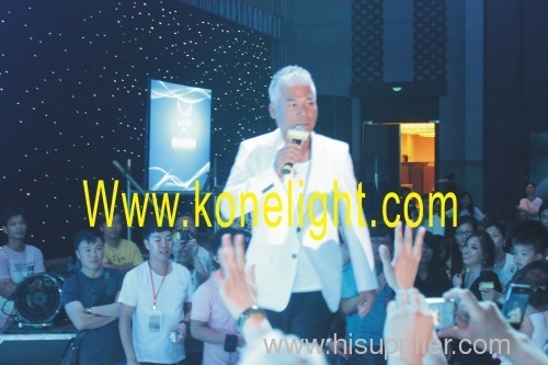 led stage light / video curtain / curtain display