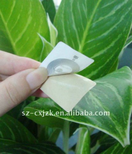 Smart Adhesive RFID Tag