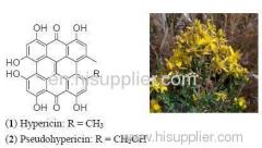 St. John's Wort P. E.Hypericins 0.2-0.3%