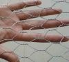 hexagonal wire netting