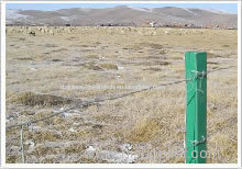 pasture fence