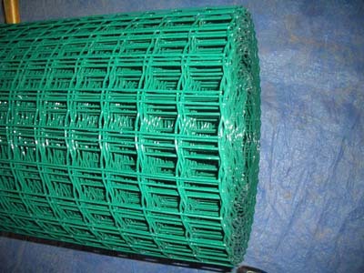 Hot Sell PVA Coated Dutch Mesh Fence