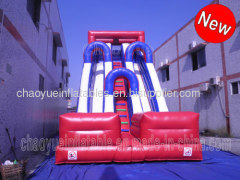 Giant Double Inflatable Slide