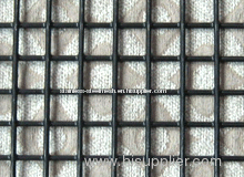 Black Ion Wire welded Mesh