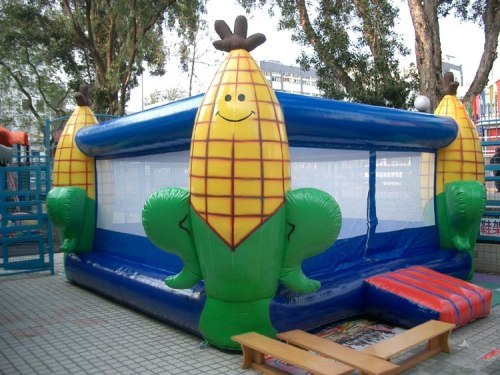 maize jumping house