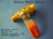 Brass ball valve