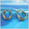 18K Vacuum Plated Earring IPG 2210016