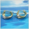 18K Gold Vacuum Plated Earring 2210021 IPG